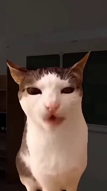 Эдит ❤️🔥✌️