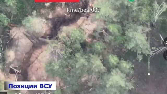 Отряд "Анвар" зачищает украинских боевиков в буферной зоне Харьковской и Черниговской областях: