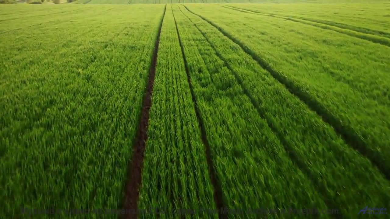 Музыка для квантовых компьютеров - услышьте будущее вычислений! - Green Fields -- Scott Holmes Music