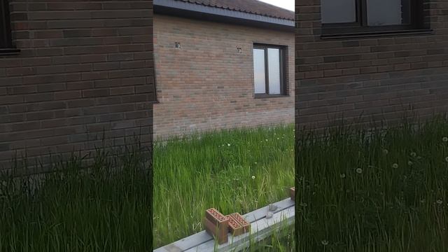 дом