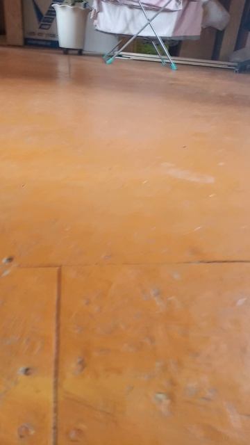 VID_20250604_140933.mp4
