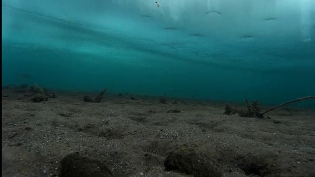 Рыбалка Братское водохранилище Молька подледная съемка ловли рыбы 19.02.16 ч.4