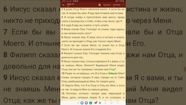 Докозательства ,что Петр Арнаут -Лжец! Часть 2. В.Лебедев и  "вонючие единственники"!