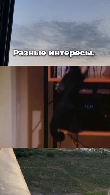 Как нанимать сотрудников
