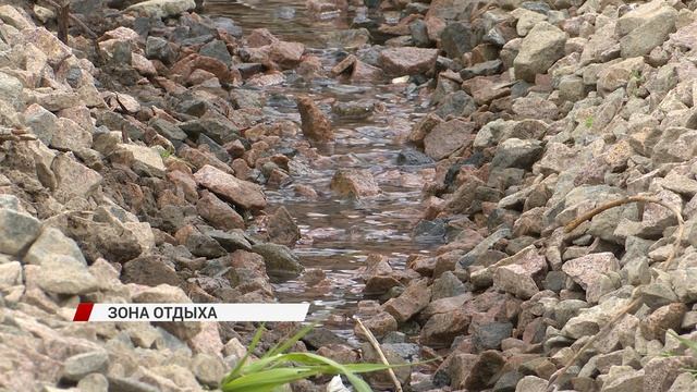 Новое место силы