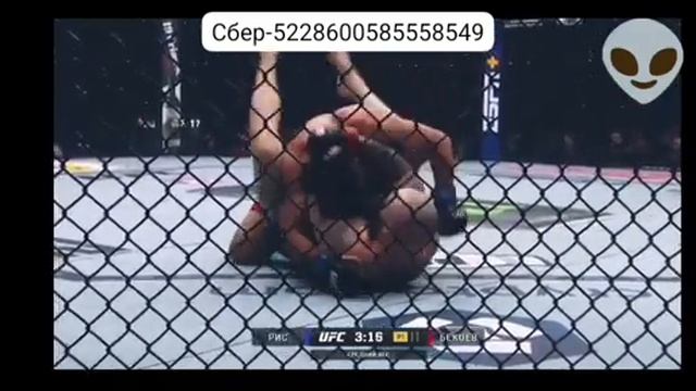 Азамат Бекоев   Закари рис | UFC 311