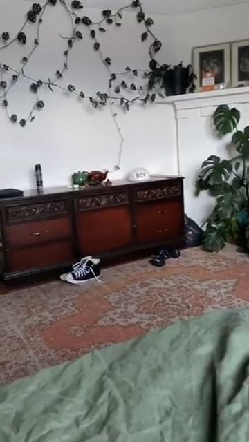 На что реагирует пёсель?