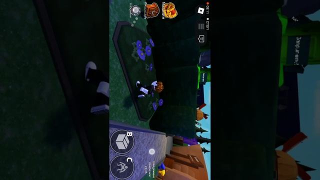 Fidiralon, ROBLOX радужные друзья