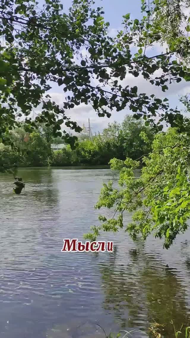 Что такое, мысли?
