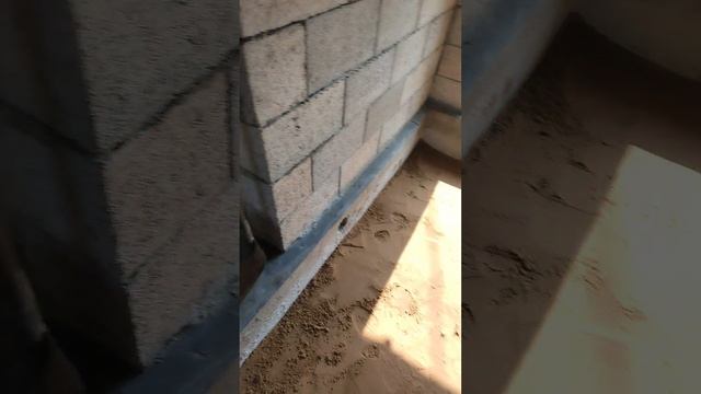 1000046611.mp4  Полы по грунту