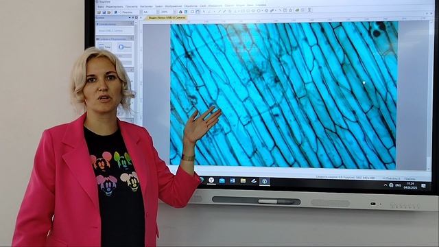 Лабораторная работа 1 ДДД