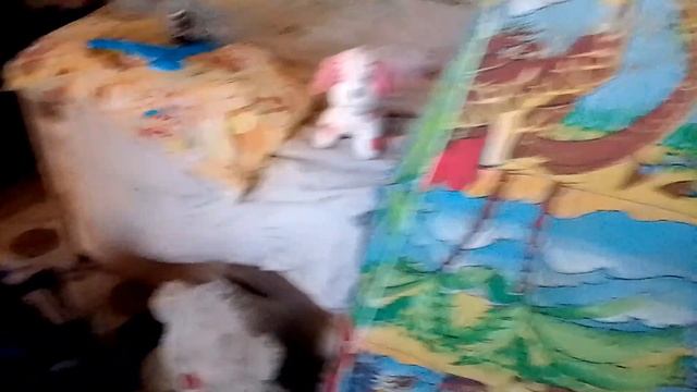 мы сделали базу с Даринкой