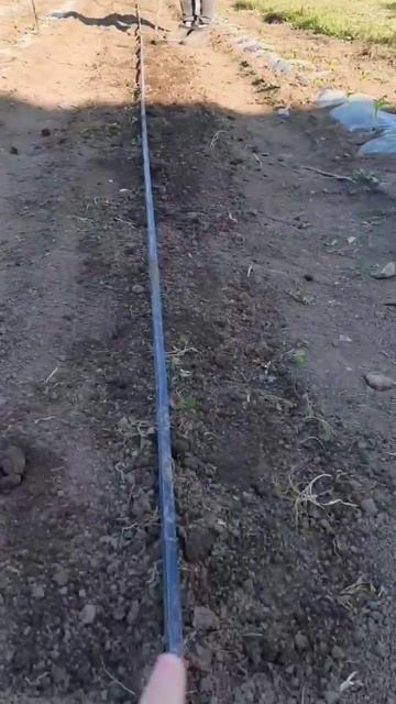 СЕМЕЙНЫЙ ПОДРЯД