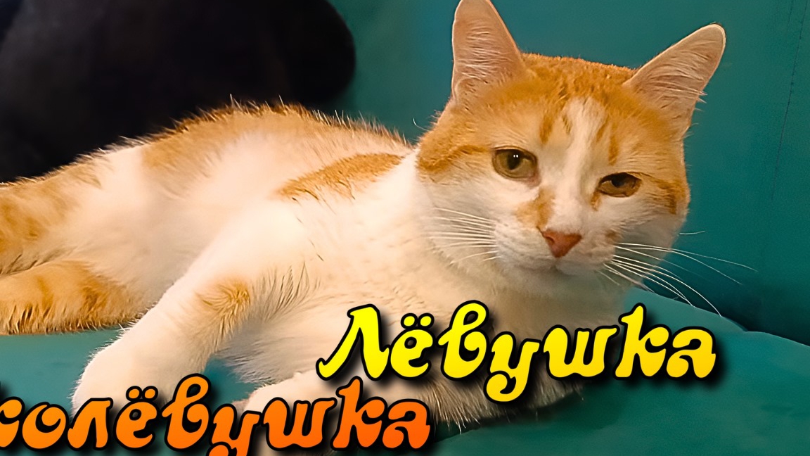 Лëвушка колëвушка.