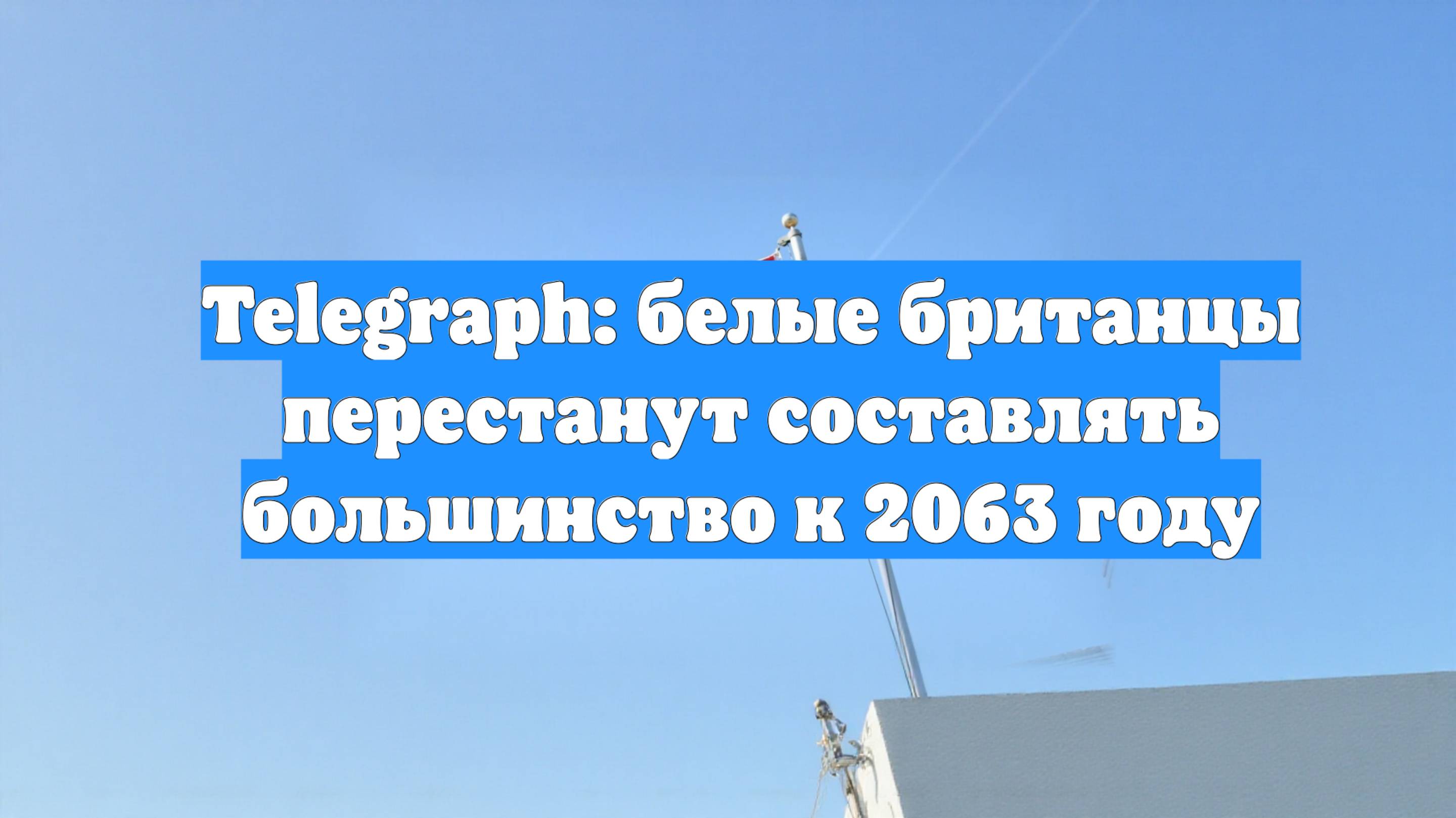Telegraph: белые британцы перестанут составлять большинство к 2063 году