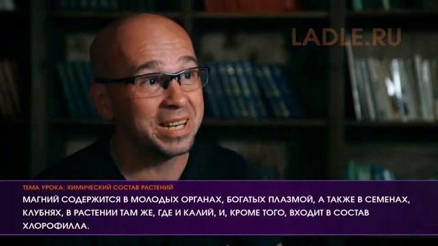 Фотосинтез. Минеральное питание растений. Биология 6 класс. Химический состав растений Обмен веществ
