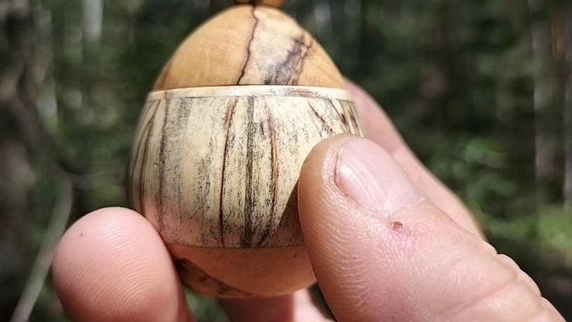 Шкатулка в июньском лесу на двуствольной березе
