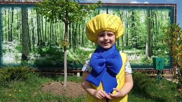 Четыре сезона специальный выпуск