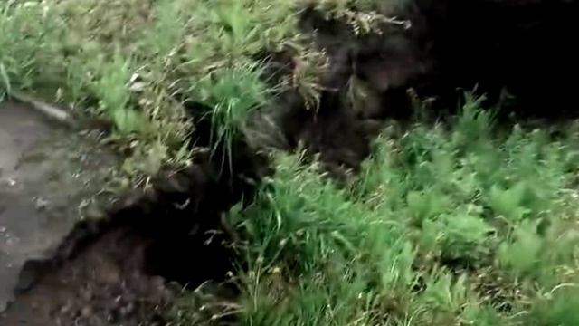 На улице Карпинского в Омске образовался провал