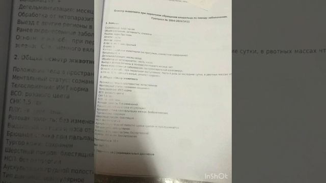 Документы с ветеринарных клиник на лечение животных!!