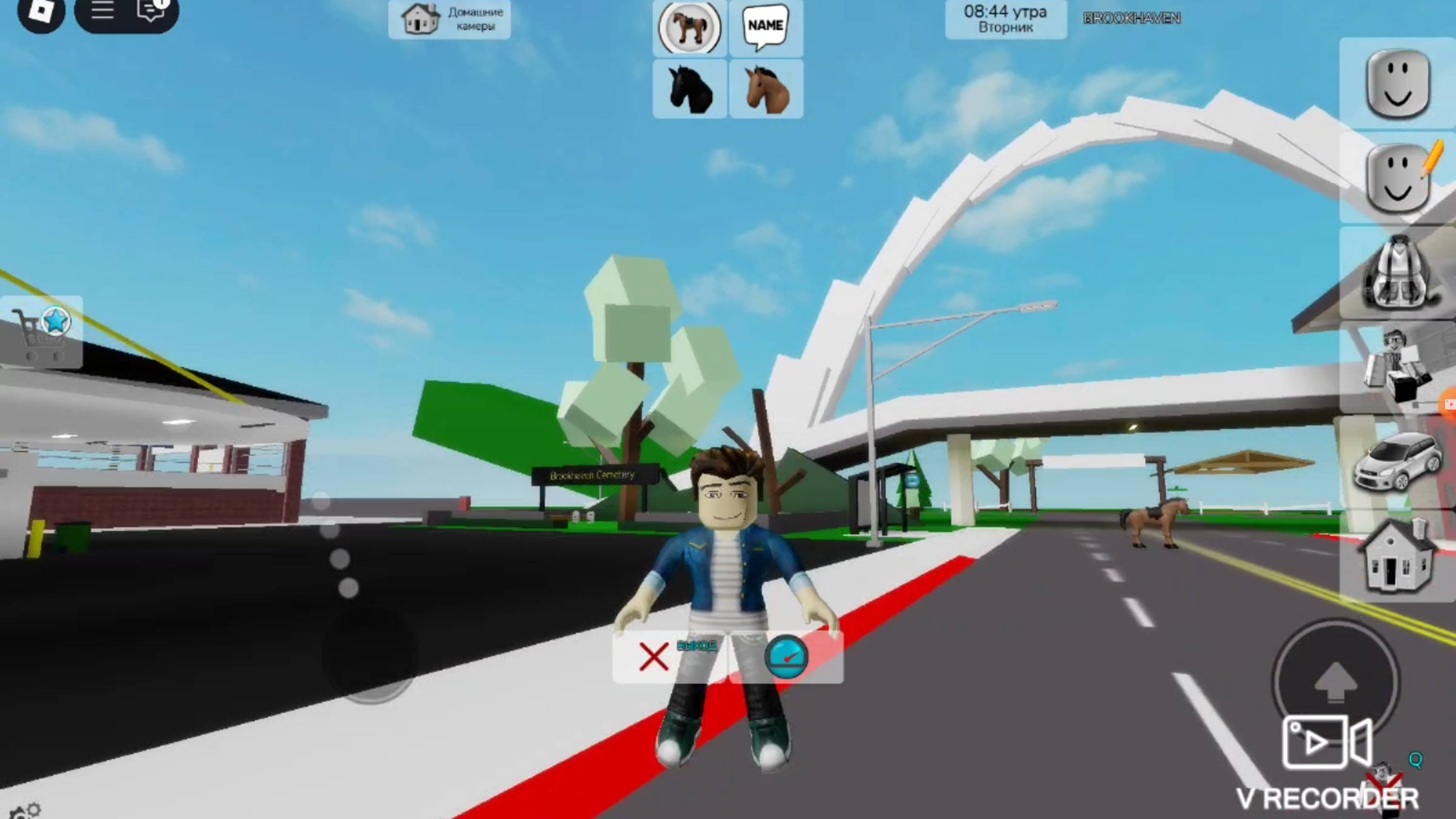 Как летать в брукхейвен ROBLOX