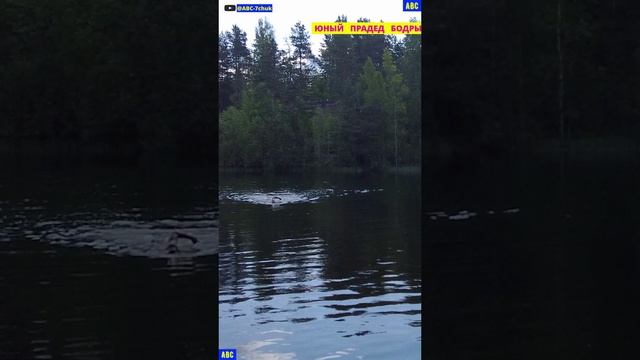 Просто плыви #юныйпрадедбодрыйдед