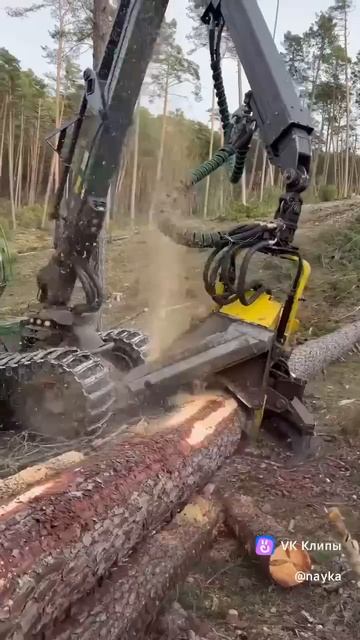 Процесс заготовки древесины
