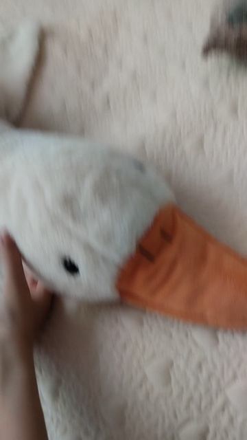 Гуси,от мала-до велика
Не хватает гуся в 240 см.