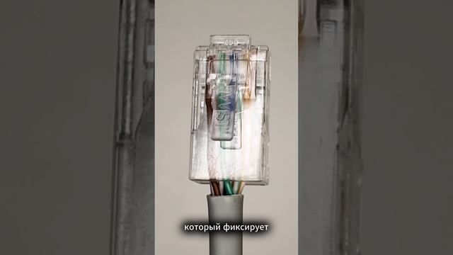 Три ошибки при обжимке витой пары