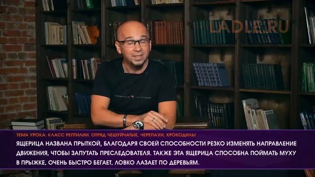 Класс Рептилии. Пресмыкающиеся животные. Отряд Черепахи, Ящерицы. Виды Признаки Биология 7 класс ЕГЭ