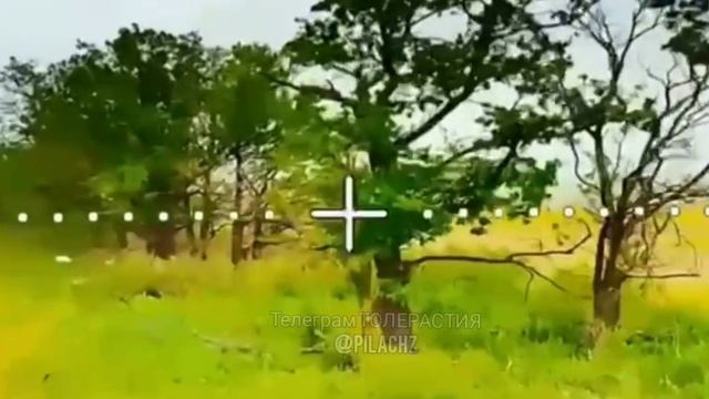 ВСУшница и …(к) в Сумской области пытались спрятаться в траве от наших дронов, вот и всё…❌