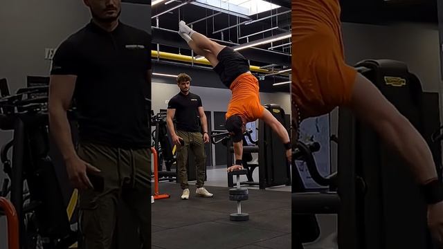 Спортзал дивує