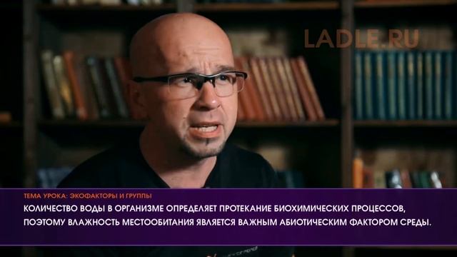 Экологические факторы и группы растений. Биология 6 класс. Абиотические, биотические, антропогенные