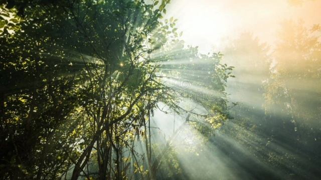 Я есть То √28, Нисаргадатта Махараджа, духовность практикуют.