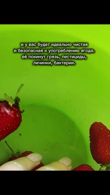 как промыть ягоду