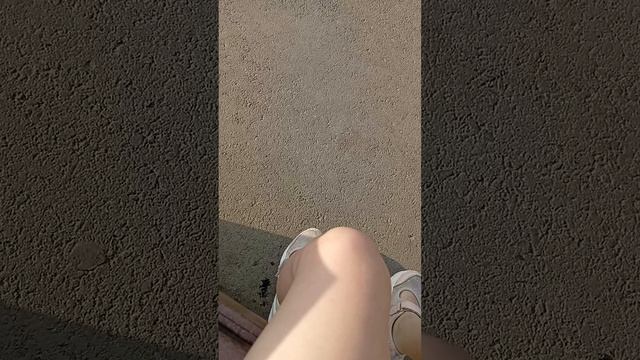 1000003294.mp4ерарюж
ора