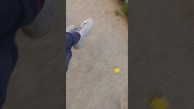 VID_20250509_183229.mp4