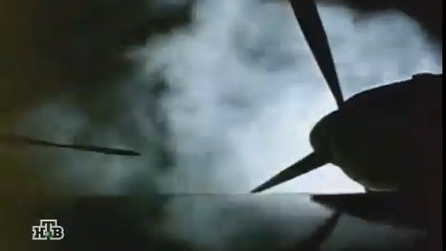 Размах крыльев 1986
