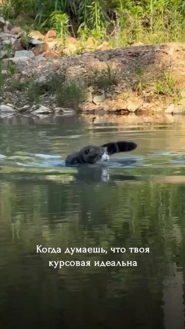 Что общего между идеальной курсовой и КБГУ сегодня – отсутствие воды.