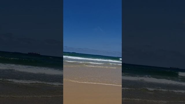 Гигантская медуза, выброшенная на берег Средиземного моря. 🪼🌊🏖