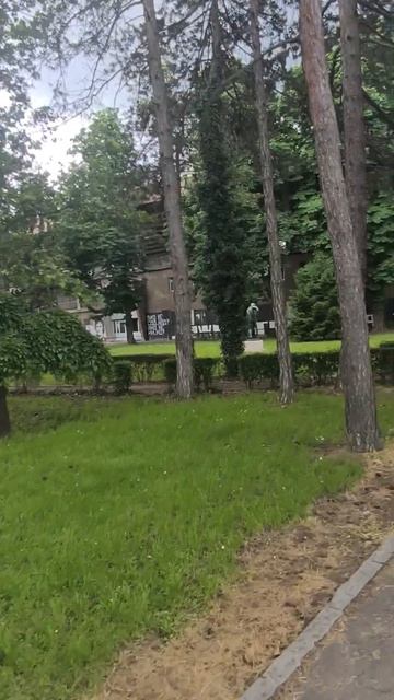 Стадион Партизана и бутик Гробари #Сербия #Белград