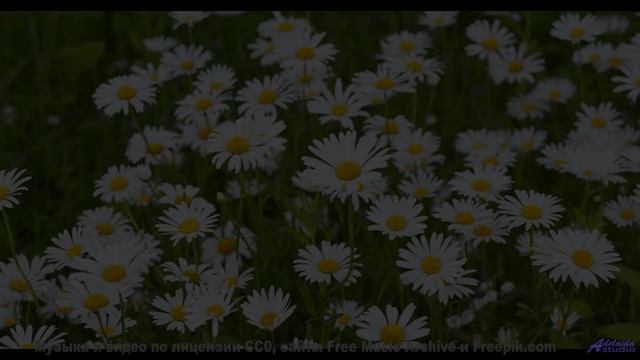 Здесь нет суеты - только красота и совершенный звук! - The Honeymooners -- Tracyanne And Danny -- Li