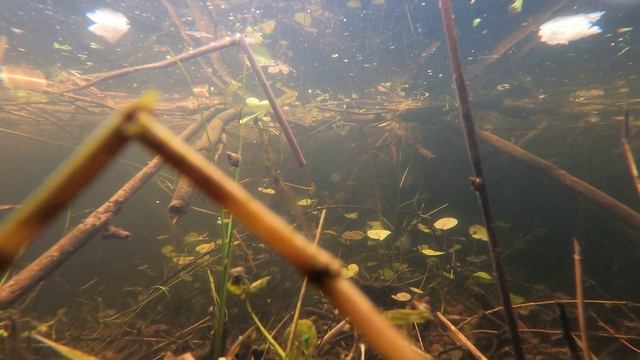 проба озеро под водой на гоупро 9 на закате