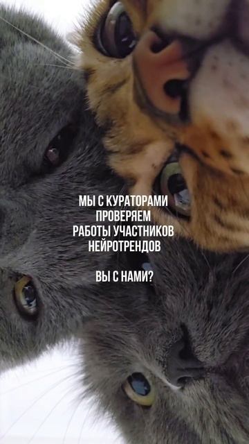 ПОДПИСЫВАЙСЯ НА КАНАЛ➡️@content_smm
⠀