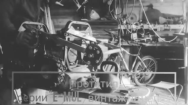 Прототип "E-muL"