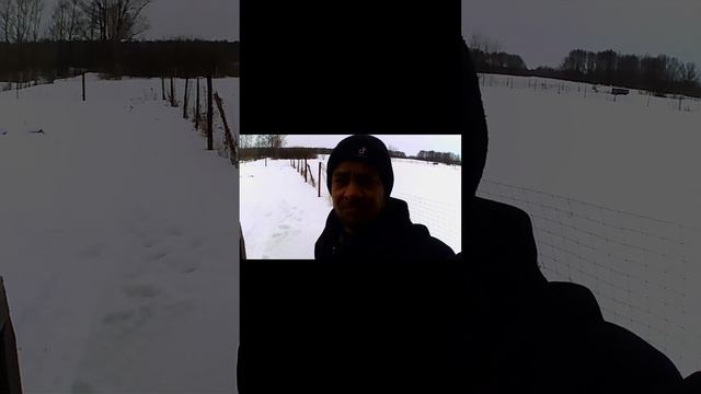 Экшен камера из озона валдбиресс