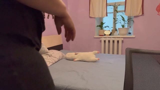 Первая стирка - чисто😧/ ээээ так и будет?🤣/ Слава оцен