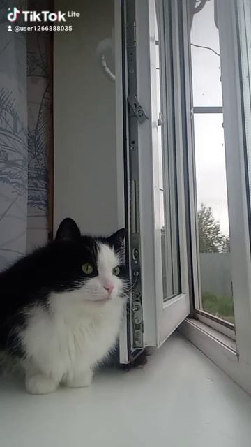 Кеша❤
