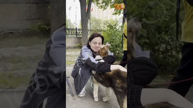 Вот так прошла выставка 1 июня.К сожалению, никого не забрали,