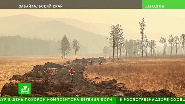 НТВ_Пожары в Забайкальском крае